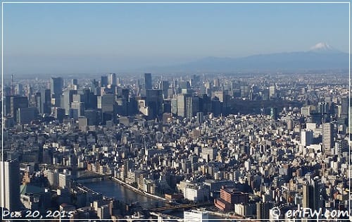 東京スカイツリーからの眺望の画像