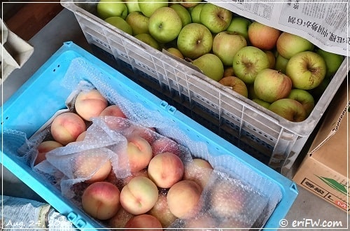 下川さんの桃とリンゴの画像