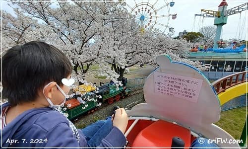 王子動物園の桜の画像
