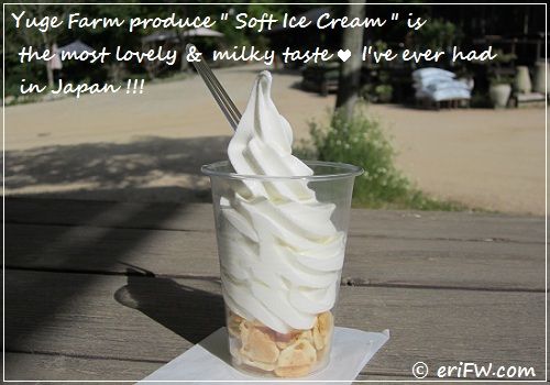 弓削牧場のソフトクリームの画像
