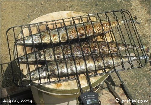 七輪で秋刀魚を焼くの画像