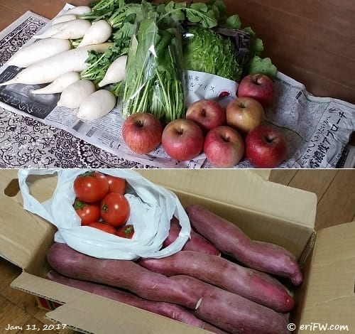にじ屋のお野菜と果物の画像