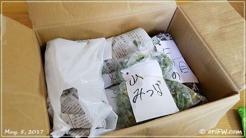 北海道からの山菜詰め合わせの画像