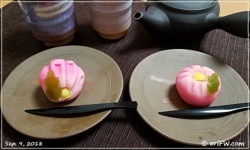 重陽の節句・和菓子 菊花の画像