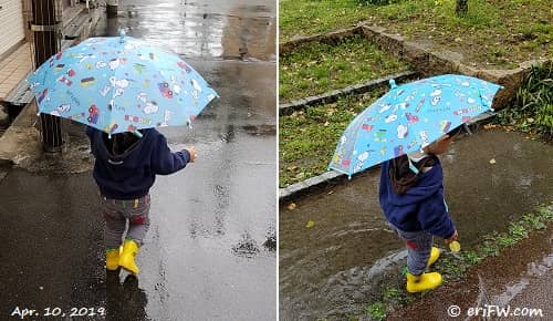 傘デビュー2歳1ヶ月の画像
