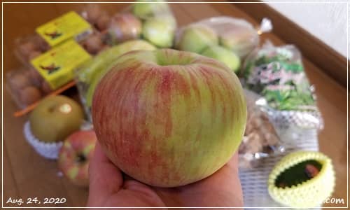 長野県下川りんご農園のりんごの画像