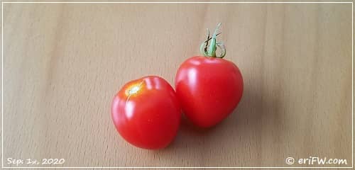 ハート形トマトの画像