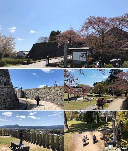 篠山城の画像