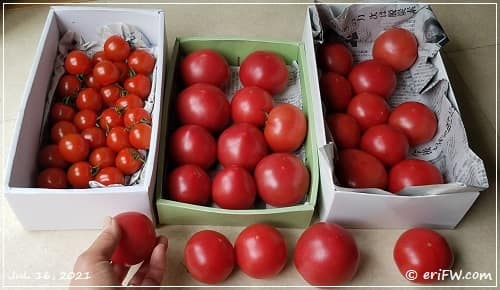 三田産トマトの画像