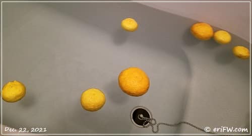 柚子風呂の画像