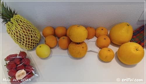 柑橘たちの画像