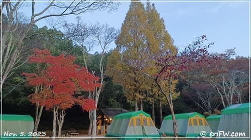 神戸しあわせの村テントキャンプの画像
