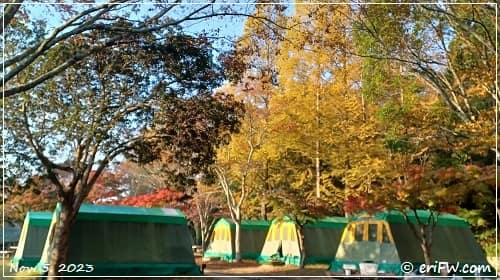 神戸しあわせの村テントキャンプの画像